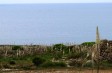 Magna Charta Lampedusae