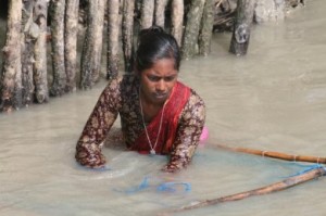 Profughi ambientali. Il caso Bangladesh*