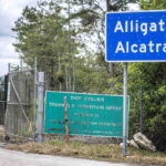Alligator Alcatraz