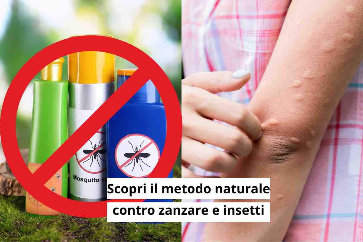 Stop