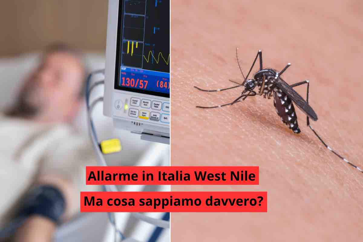 Allarme West Nile