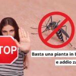stop