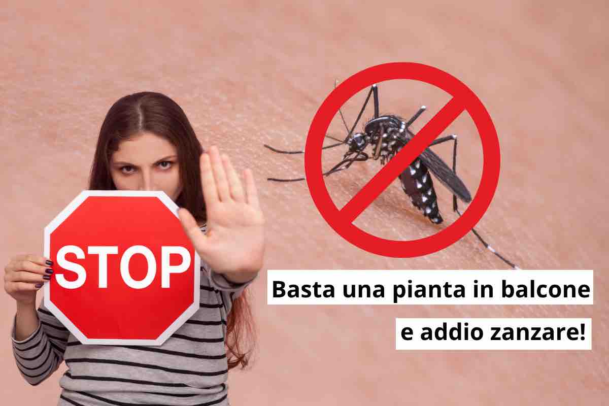 stop
